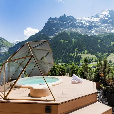 Boutique Glacier 4* Γκρίντελβαλντ
