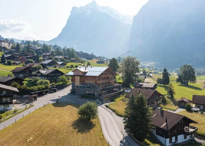 호텔 부티크 글레이셔 그린델발트