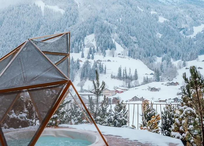 מלון Boutique Glacier גרינדלוולד